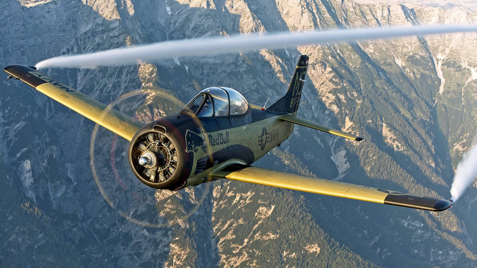 Spontane-Fassrolle-und-lose-Kamera-Darum-st-rzte-die-T-28-Trojan-der-Flying-Bulls-ab