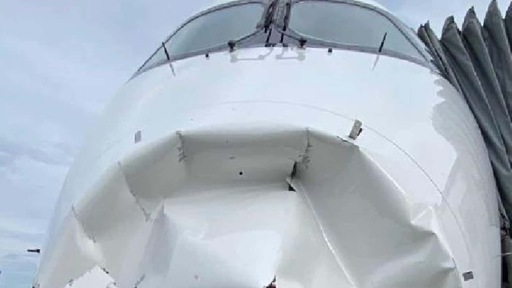 Flugzeugnase-kollabierte-auf-Air-France-Flug-Mayday-Notfall-durch-Vogelschlag-Sp-tfolgen