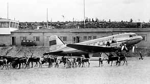 Finnair, DC 3, Douglas DC 3, Finnish Airlines Eine Douglas DC-3 der Finnish Airlines am Boden