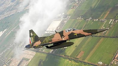 Die Northrop F-5E/F Tiger II gehört zum Bestand der mexikanischen Luftwaffe.