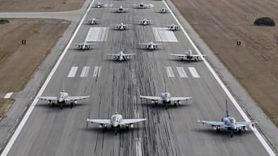 Elephant Walk beim Tiger Meet 2023 in Gioia del Colle.