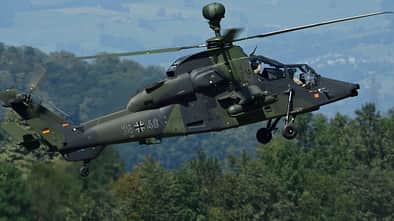 Tiger im Flug über Wald