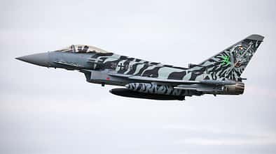 Eurofighter fürs Tigermeet 2024 - Cyborg Tiger