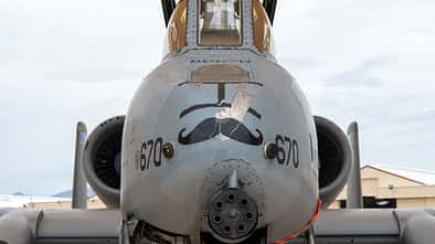 Detail Bug A-10 Thunderbolt II Davis-Monthan AFB