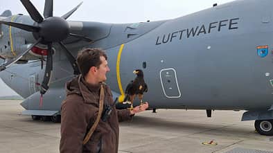Greifvogel Carlos mit Falkner vor Airbus A400M
