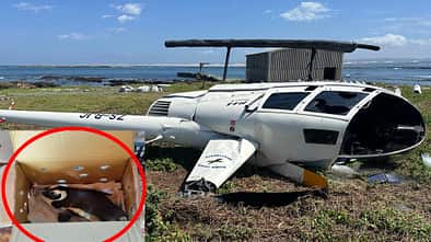 Abgestürzter Hubschrauber am Boden mit Pinguin in Karton (Montage)