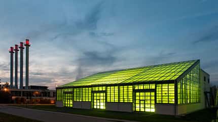 Technische Universität München, Carbonfasern, Algen, Algenöl, In diesem Algentechnikum genannten Gebäude züchtet die TUM Mikroalgen, welche in Carbonfasern verarbeitet und als Verbundmaterialien eingesetzt werden können.