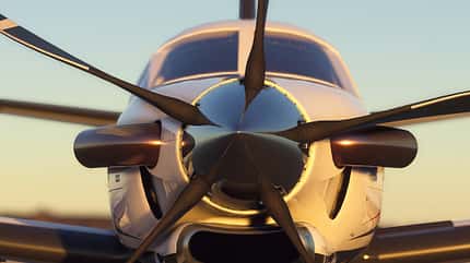 Flight Simulator 2020, Microsoft
