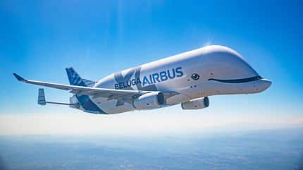 Beluga XL