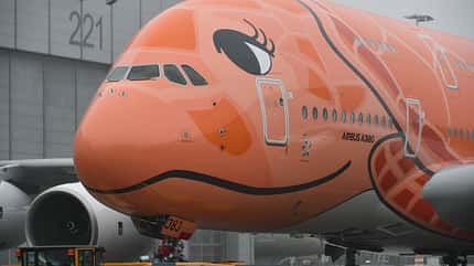 Flying Honu, A380, ANA