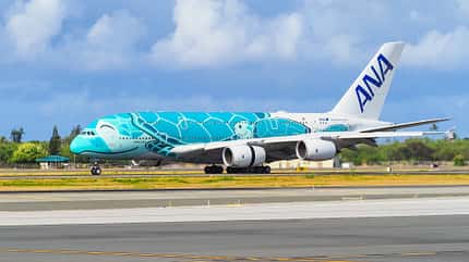Flying Honu, A380, ANA