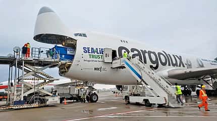 A330, 747, Frachter, MD-11