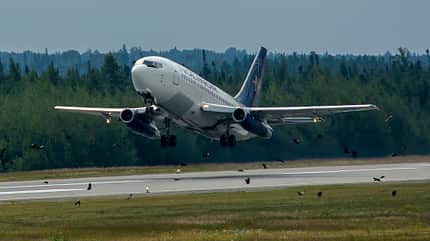 Nolinor, 737-200