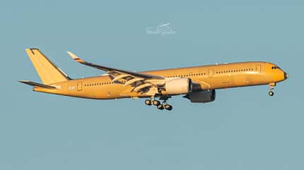 A350, Luftwaffe, Flugbereitschaft