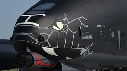 Blacksnakes A-10