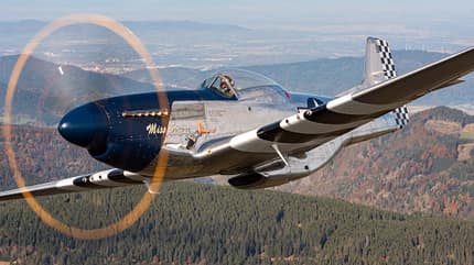 Mustang, Miss Stress, P51