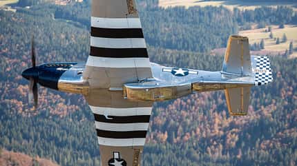 Mustang, Miss Stress, P51