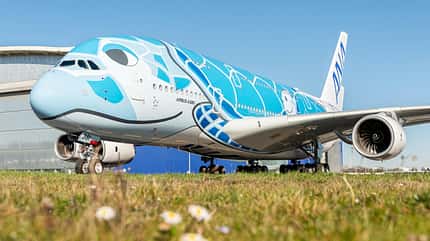 ANA, A380, Honu