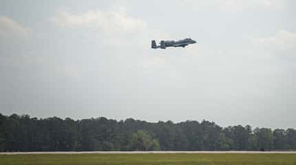 A10, Thunderbolt, Warzenschwein