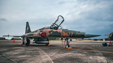 F-5F Tiger in grün-braunem Anstrich