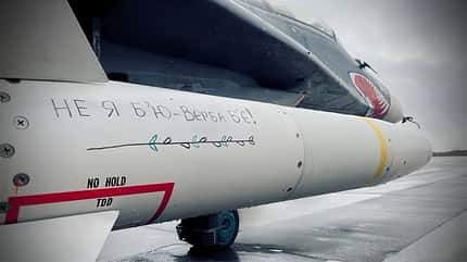 Mikojan MiG-29 Ukraine HARM Detail