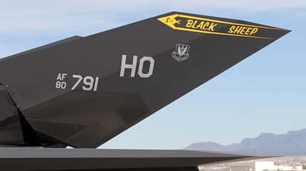 Black Sheep F-117A Leitwerk Detail