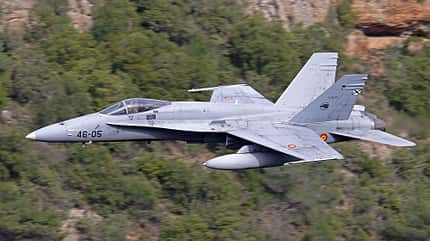 Hornet aus Spanien im Tiefflug