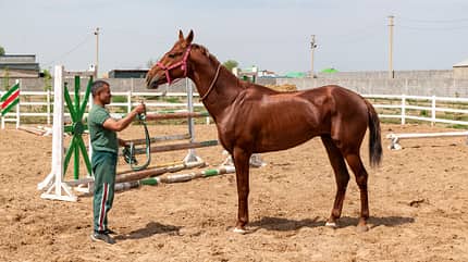 Turkmenistan Reiseeindrücke aus Turkmenistan.