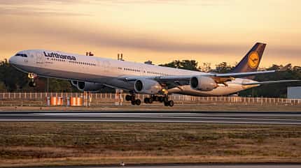 Lufthansa, Airbus, A340-600, A340, Frankfurt Airbus A340-600 der Lufthansa bei der morgendlichen Landung in Frankfurt.
