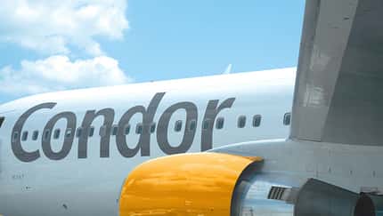 Condor fliegt nach San Diego und New Orleans