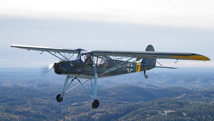 Storch fliegt in Norwegen