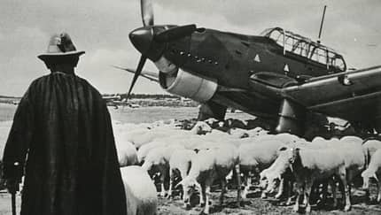 Fliegende Maskottchen