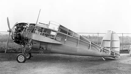 Grummans erste Katze