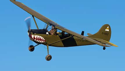 Bird Dog in Italien