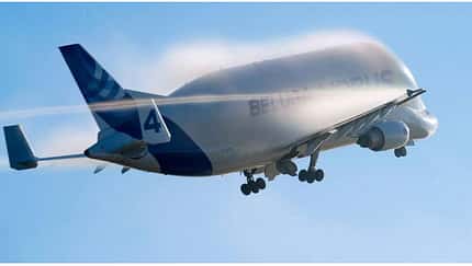 20 Jahre Beluga