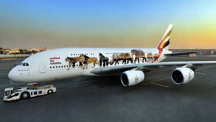 Emirates A380 werben für besseren Artenschutz