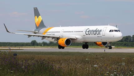 Condor erhält Hilfe - und sucht neuen Eigentümer