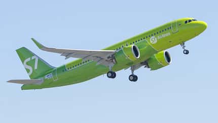 Bär auf der Runway: A320neo muss durchstarten