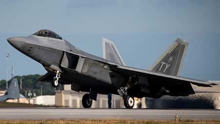 Raptors arrive