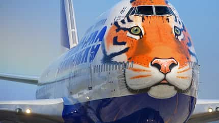 Der schlafende Tiger-Jumbo von Teruel ist erwacht