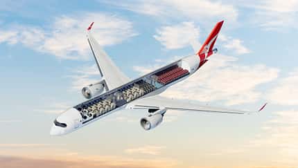 Qantas-Kabine: 20 Stunden nonstop in der Holzklasse