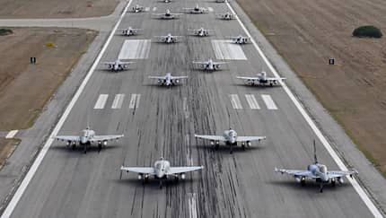 Elephant Walk beim Tiger Meet 2023 in Gioia del Colle.