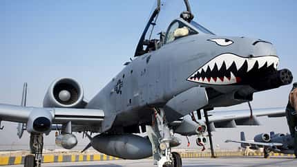 A-10 Thunderbolt mit Haifischmaul