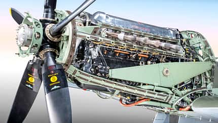 Der stolze Greif von Rolls-Royce im Detail