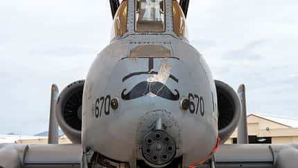Detail Bug A-10 Thunderbolt II Davis-Monthan AFB