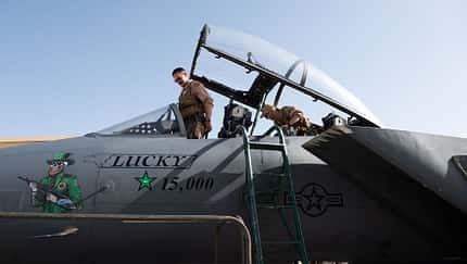 Detail Bug F-15E Strike Eagle "Lucky"