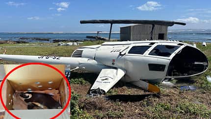Abgestürzter Hubschrauber am Boden mit Pinguin in Karton (Montage)