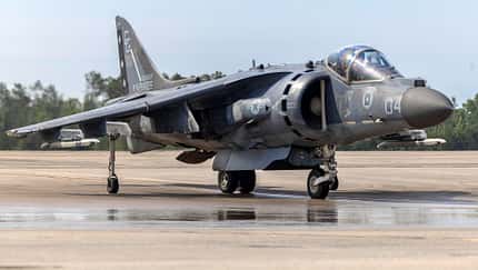 Rollender AV-8B Harrier der VMA-231 Ace of Spades