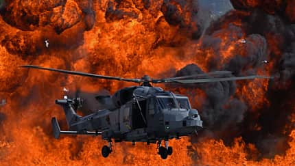 Wildcat vor Flammenwand