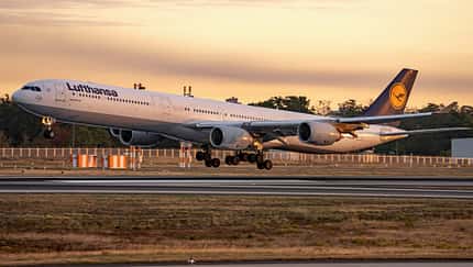Lufthansa, Airbus, A340-600, A340, Frankfurt Airbus A340-600 der Lufthansa bei der morgendlichen Landung in Frankfurt.